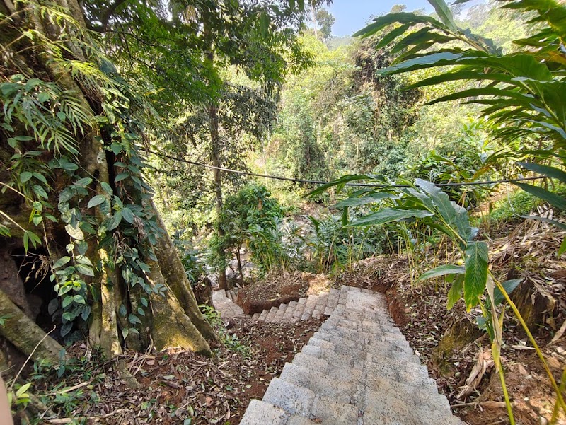 River wood cottages - River wood cottages Kallar Vattiyar, Kerala 685565, India