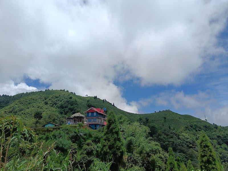 Khimba homestay - Khimba homestay W88R+HM5, Mahal Diram Forest, Sittong, West Bengal 734008, India