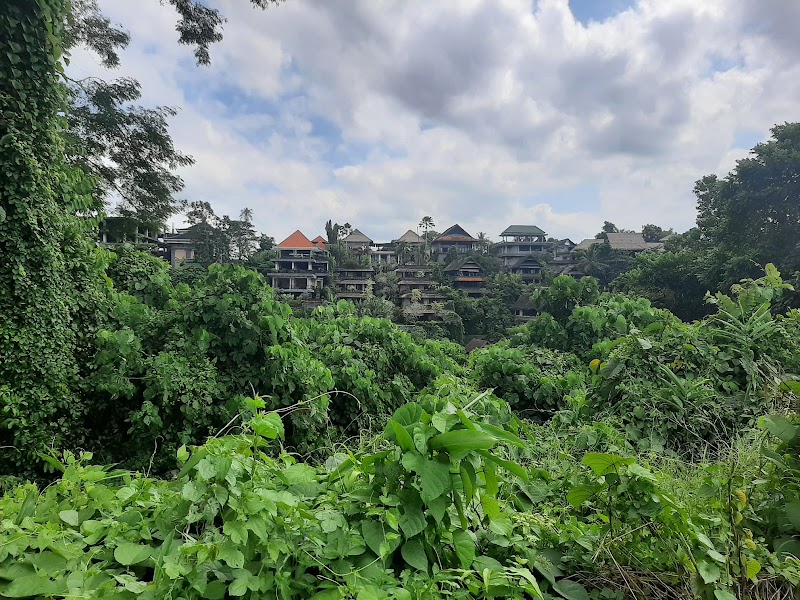 Campuhan Ridge Walk - Campuhan Ridge Walk Jl. Raya Ubud, Kelusa, Kec. Payangan, Kabupaten Gianyar, Bali, Indonesia