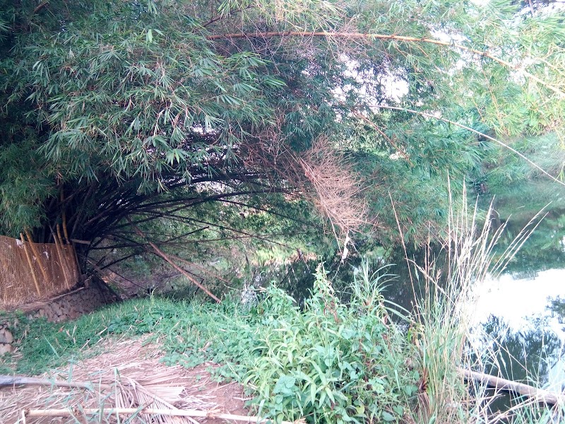 Karamana River