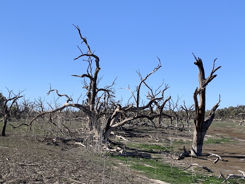 Bourke - Bourke NSW 2840, Australia