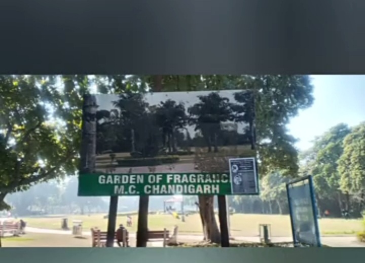 Garden of Fragrance, 36B Chandigarh - Garden of Fragrance, 36B Chandigarh Fragrance Garden Rd, Sector 36B, Sector 36, Chandigarh, 160036, India