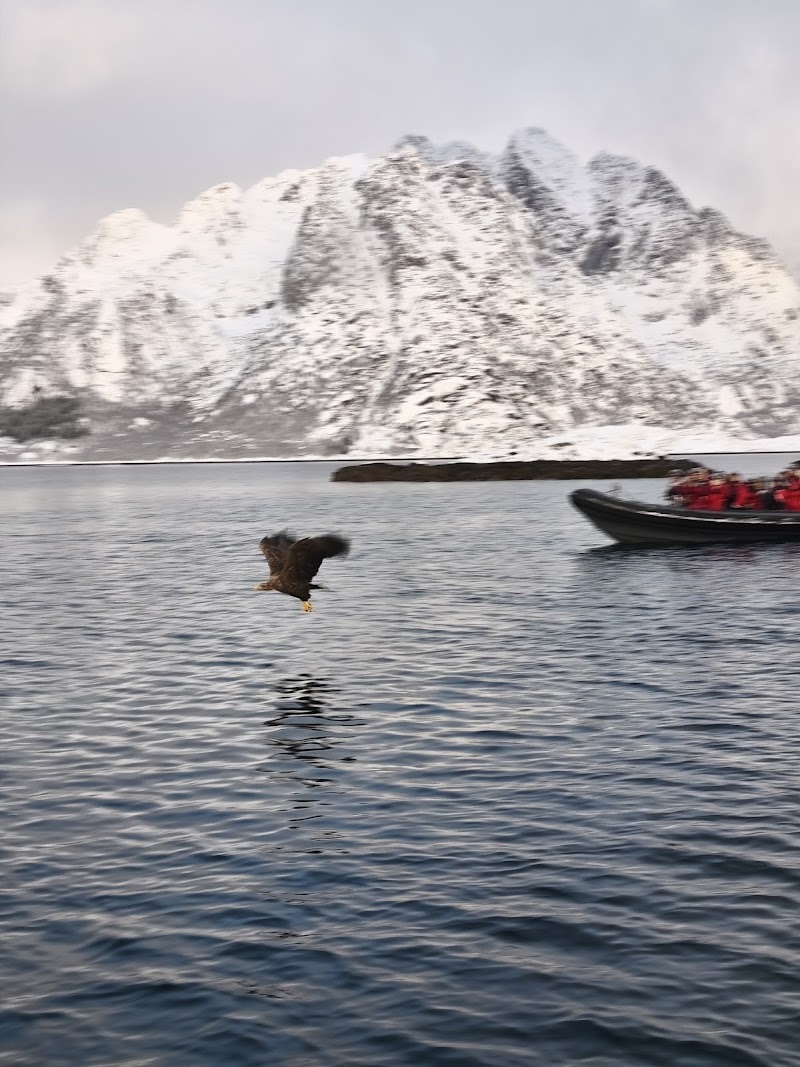 Lofoten Explorer AS - Lofoten Explorer AS Joh. E. Paulsens gt. 12, 8300 Svolvær, Norway