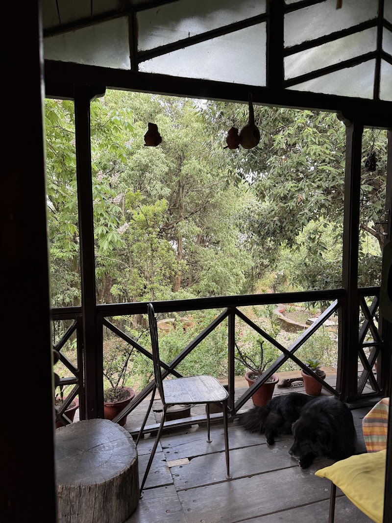 jungle lore birding lodge pangot - jungle lore birding lodge pangot Village Pangot, Kilbury Rd, Via, Budhalakote, Nainital, Uttarakhand 263001, India
