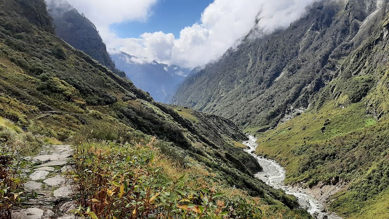 Danu Adventure - Danu Adventure, danuadventure, Toli, Uttarakhand 263632, India