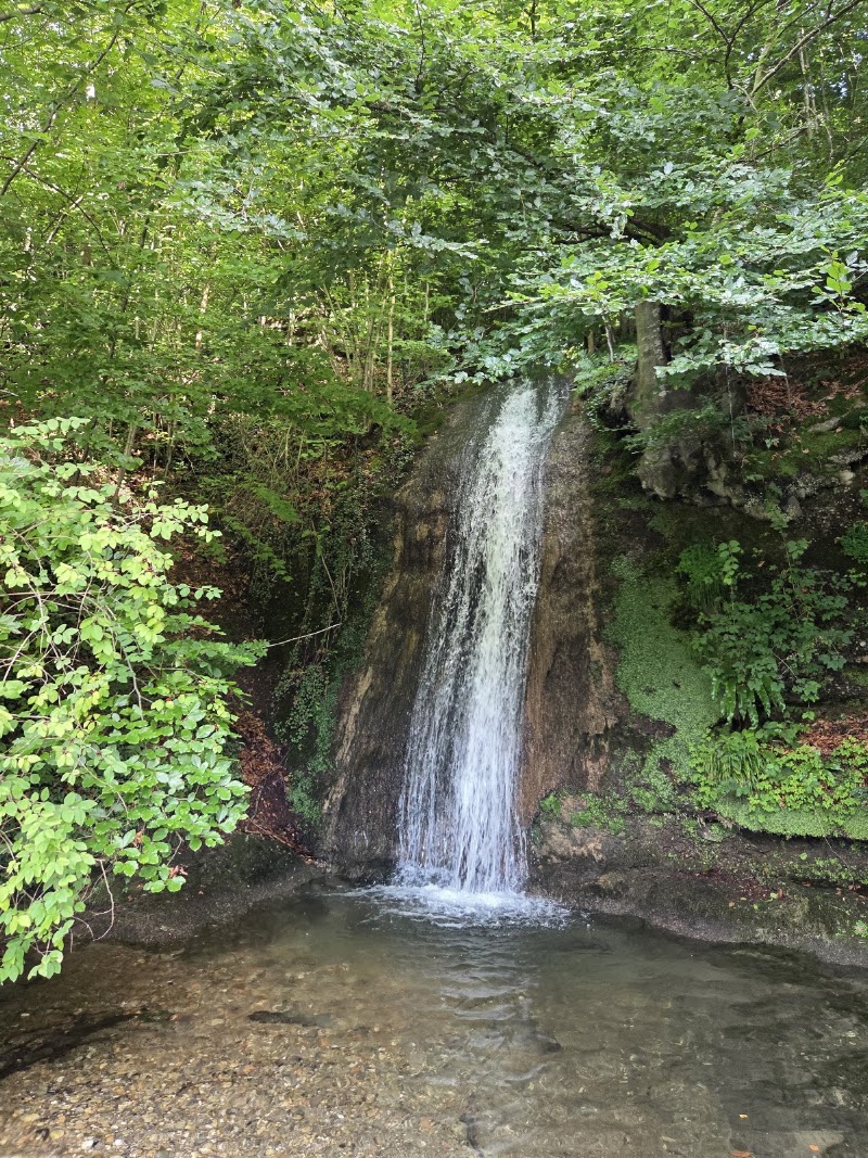 Wasserfall - Wasserfall Maihofstrasse 99, 6006 Luzern, Switzerland