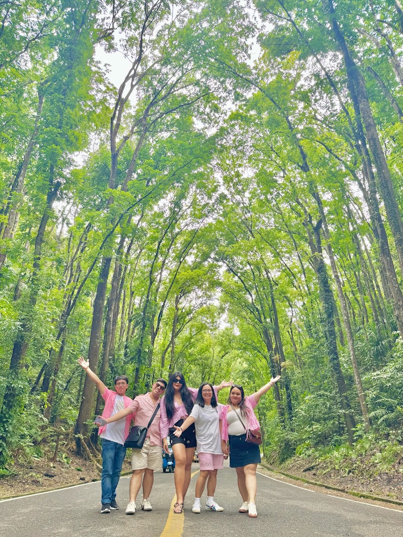 Bohol Cebu Tours - Bohol Cebu Tours, Kadulang, Marigondon, Lapu-Lapu, 6015 Cebu, Philippines