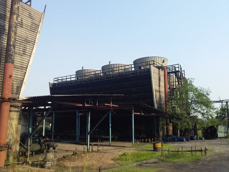 Ind Synergy Limited - Ind Synergy Limited, Siyarpali, Chhattisgarh 496001, India