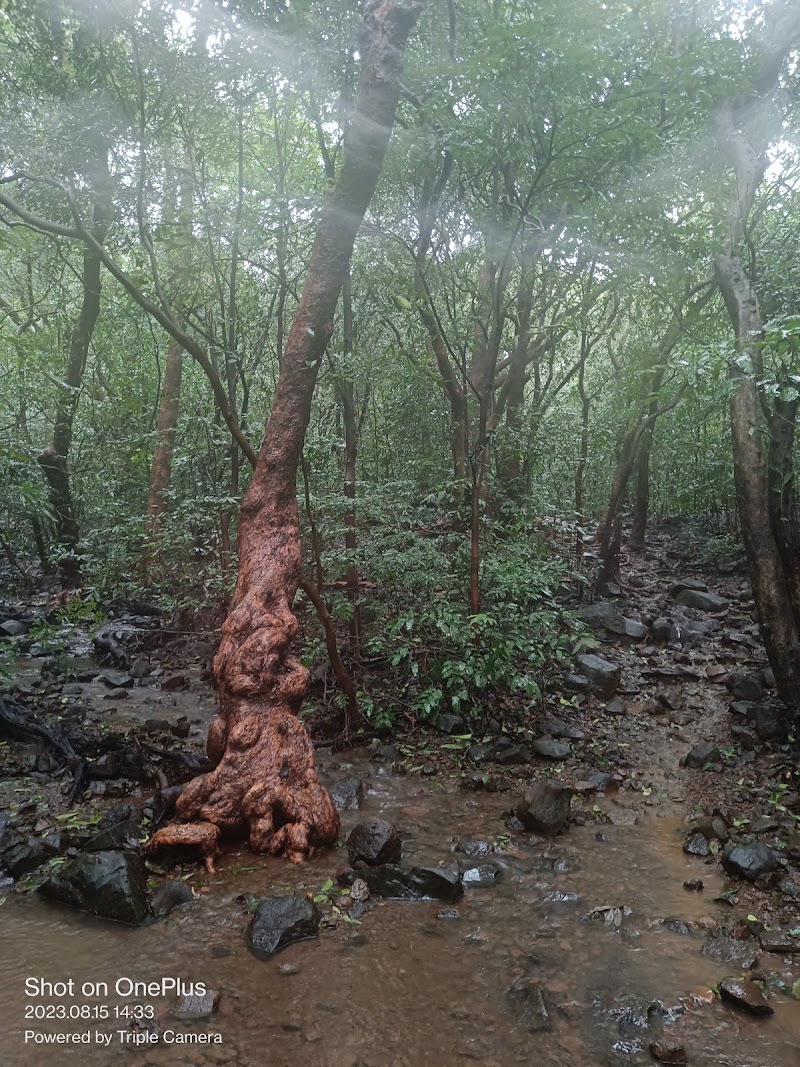 Andharban Trekking Way - Andharban Trekking Way G93X+4M, Pimpri, Maharashtra 412108, India