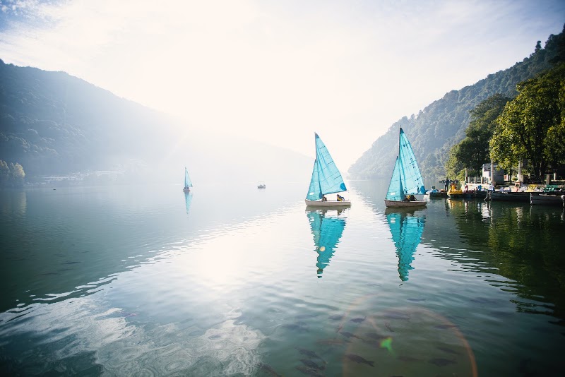 The Hive Cottage - The Hive Cottage, Ayarpatta, Nainital, Uttarakhand 263001, India