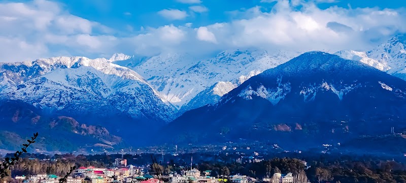 The owls nest - The owls nest 59G7+JJM, Unnamed Road, Tapovan, Braih, Rasan, Himachal Pradesh 176215, India