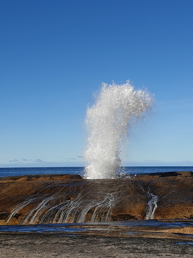 Bicheno Blowhole - Bicheno Blowhole, Douglas St, Bicheno TAS 7215, Australia