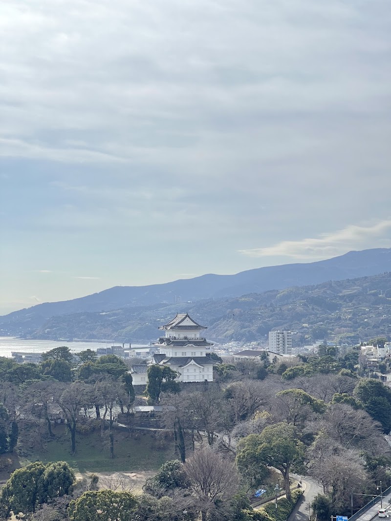 Odawara Castle - Odawara Castle 6-1 Jōnai, Odawara, Kanagawa 250-0014, Japan