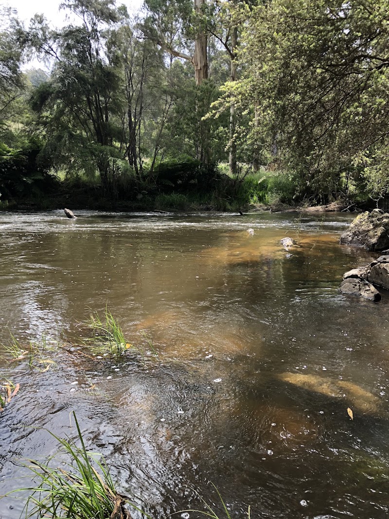 Yarra Ranges Shire - Yarra Ranges Shire, Yarra Ranges, VIC, Australia