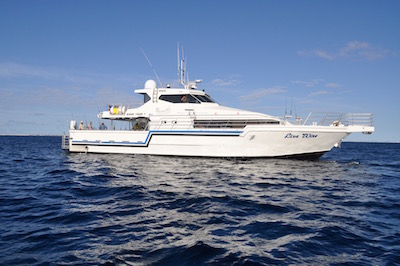 Abrolhos Islands - Abrolhos Islands, Houtman Abrolhos WA 6530, Australia