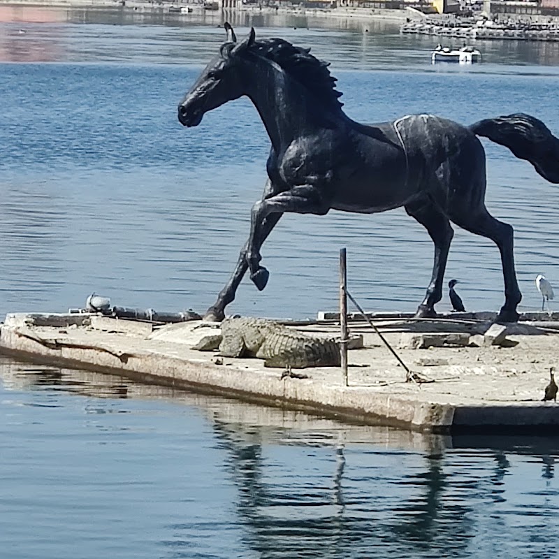Horses place - Horses place Rajendra Vihar, Gaytri Vihar, Kota, Rajasthan 324007, India