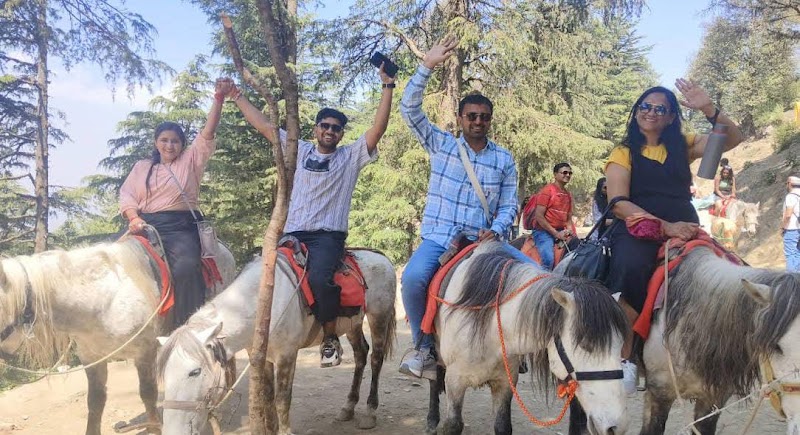 Tripifive Tours - Tripifive Tours D0-103, Dwing, Rustomjee Bella, Subhash Nagar, Bhandup West, Mumbai, Maharashtra 400078, India