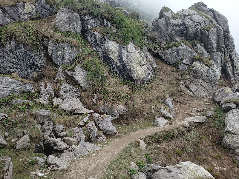 Churdhar Trek point - Churdhar Trek point, RC99+6P, Nohra, Bhog Batewari, Himachal Pradesh 173104, India