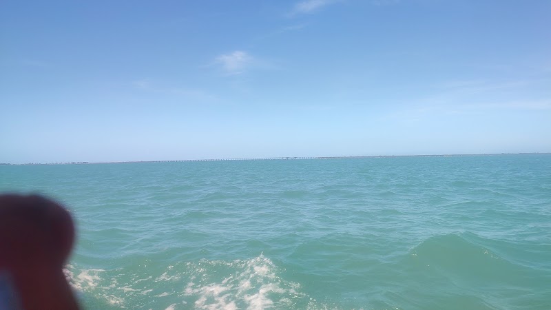 Pullivasal Island - Pullivasal Island, 65RM+2W, Pamban, Tamil Nadu 623518, India