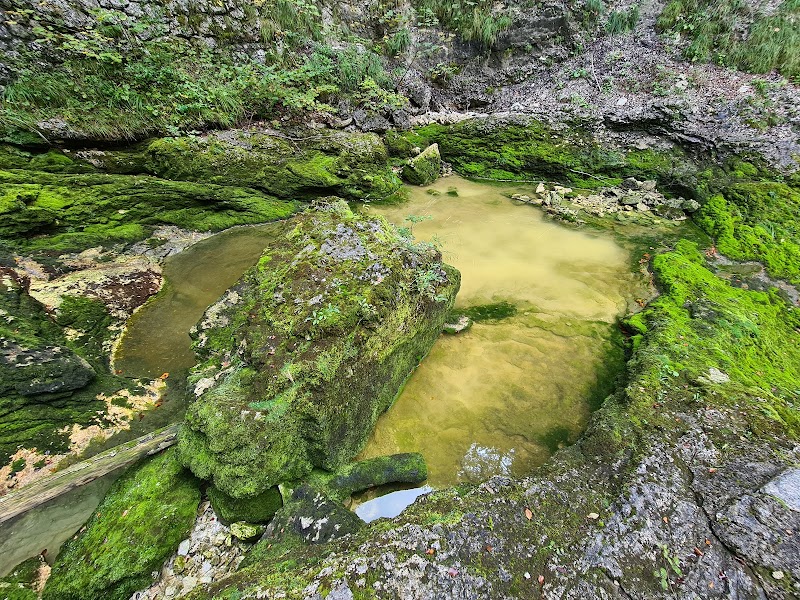 Koppenbrüller Cave - Koppenbrüller Cave, Winkl 34, 4831 Obertraun, Austria