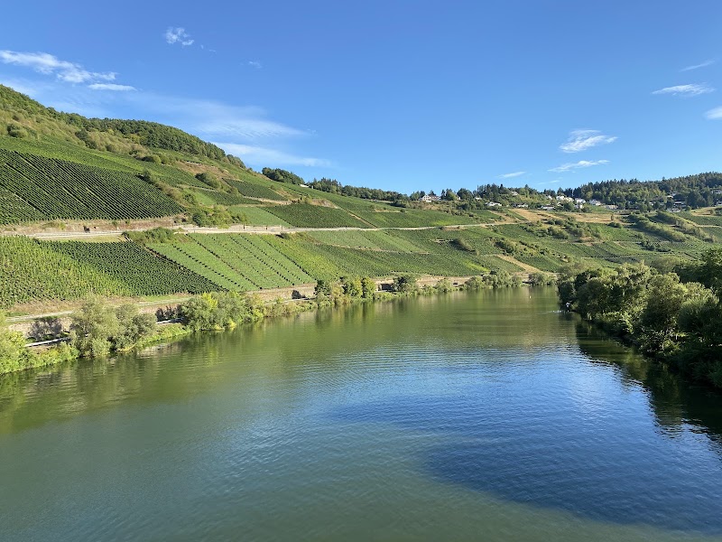 Moselle - Moselle