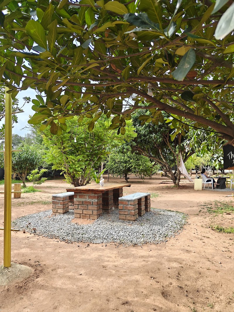 Cafe Komorebi (The Tree) - Cafe Komorebi (The Tree), VQF3+CQV At The Tree, Dommasandra, Bengaluru, Yamare, Karnataka 562125, India