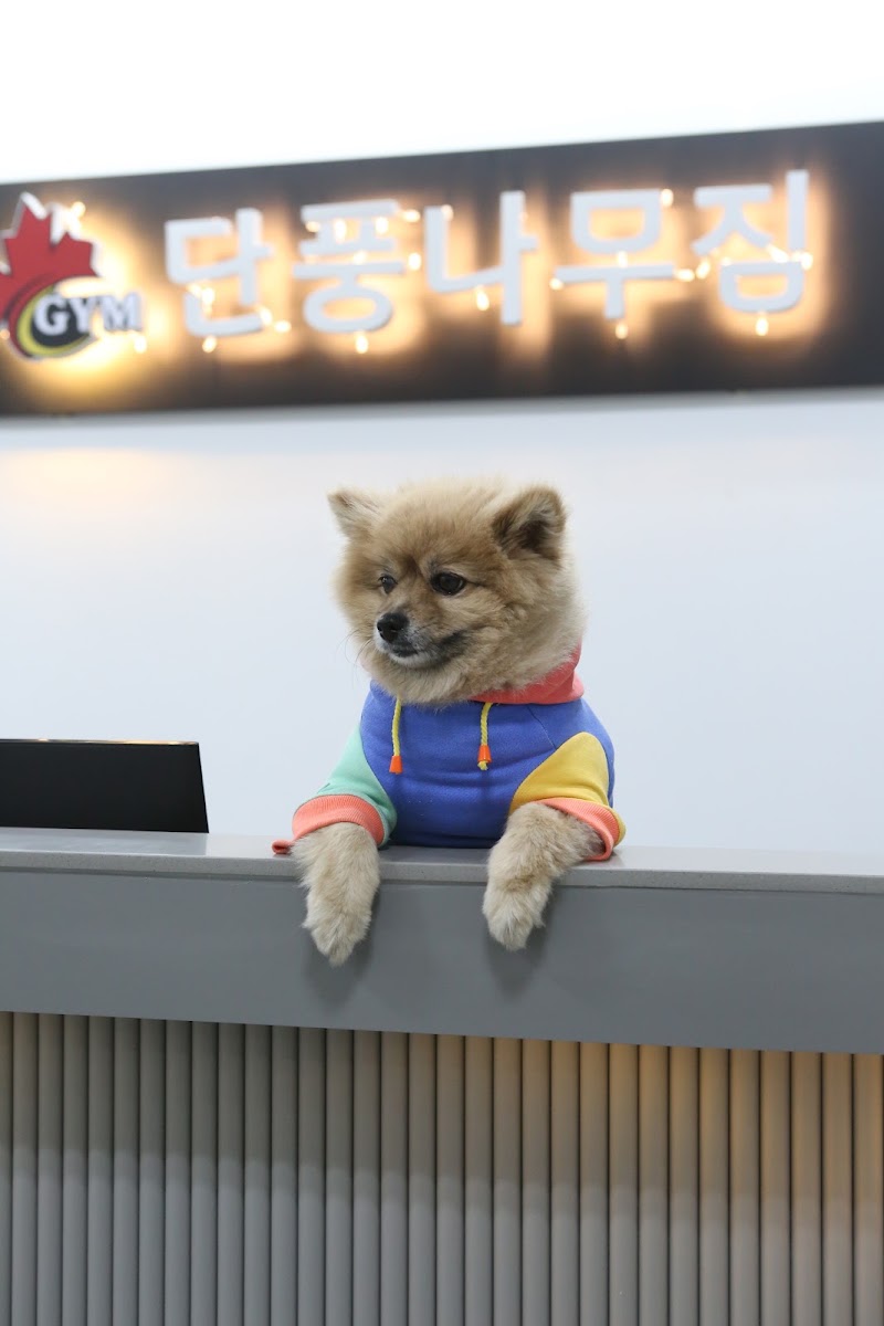 단풍나무짐 마포점 - 단풍나무짐 마포점 South Korea, Seoul, 단풍나무짐 마포점 1층 KR 서울특별시 마포구 서울시 마포구 도화4길 73, 현대홈타운상가 지하