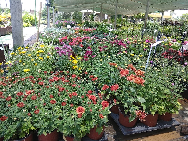 Pramukh Nursery - Pramukh Nursery, Nilkanth Farm House, Ring Road, near Yatri Niwas Hotel, Silvassa, Dadra and Nagar Haveli and Daman and Diu 396230, India