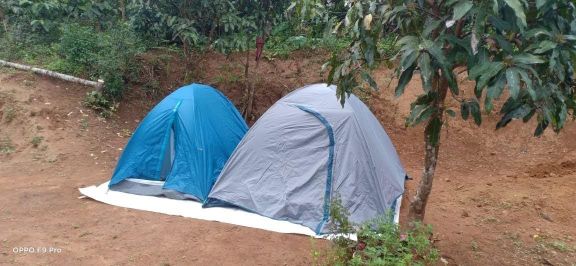 Sunbird Homestay coorg - Sunbird Homestay coorg Karavale bagada, Madikeri, Karnataka 571202, India