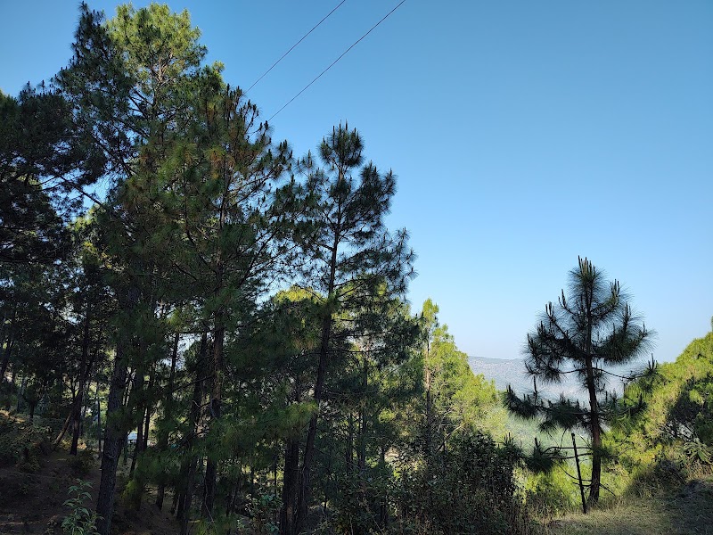 Kedar Villa - Kedar Villa Devikhal, Kotdwar - Lansdowne Rd, Highway, Kotdwar, Thalda, Uttarakhand 246155, India