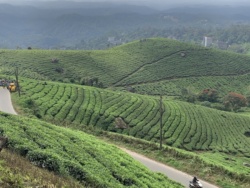Kerala Holidays Pvt. Ltd. केरल टूर पैकेज - Kerala Holidays Pvt. Ltd. केरल टूर पैकेज, NH Bypass, above Bread World, Thykoodam, Vyttila, Kochi, Kerala 682019, India