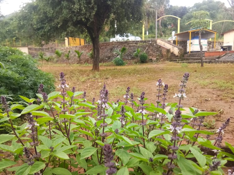 Nature Stay Lakeside - Nature Stay Lakeside Mose Khurd, Tav, Road, Pune, Mose Bk, Maharashtra 412107, India