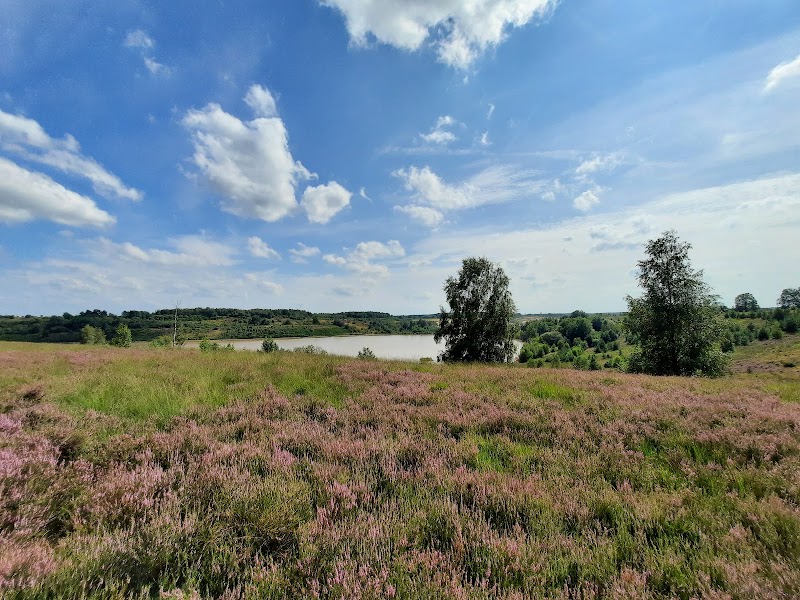 National Park Hoge Kempen - National Park Hoge Kempen, 3630 Maasmechelen, Belgium