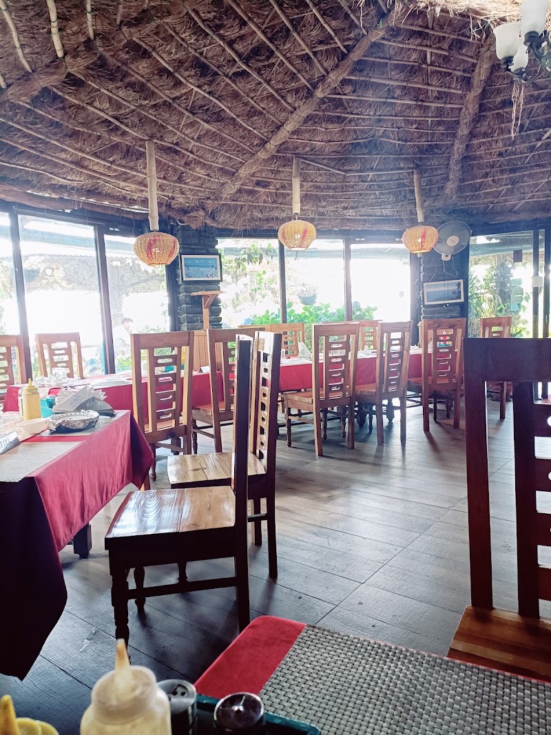 Mohan's Cafe - Mohan's Cafe, Road, near Kasar Devi Temple, Binsar, Mat, Uttarakhand 263601, India