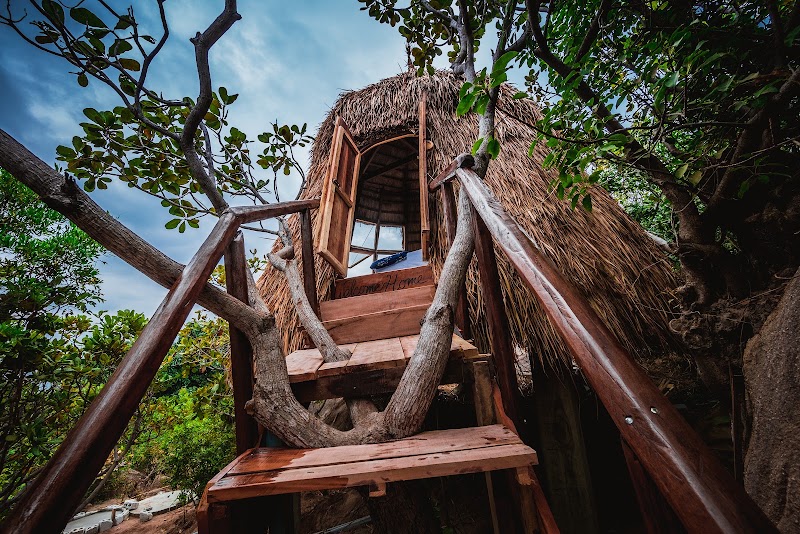 Khu Du Lịch Sinh Thái Sao Biển - Khu Du Lịch Sinh Thái Sao Biển, Thôn, Bình Lập, Nam Cam Ranh, Khánh Hòa, Vietnam