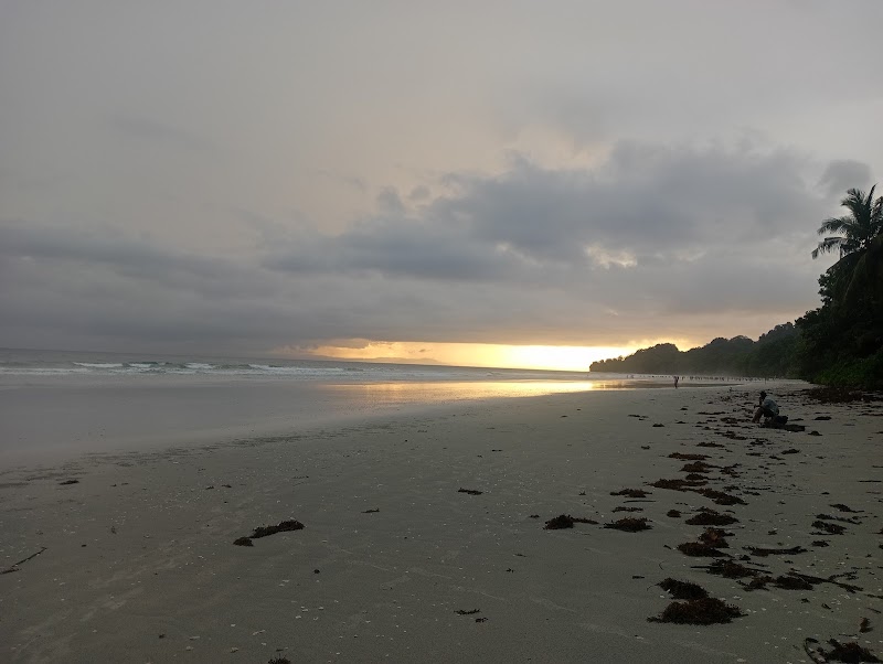 Bowfins Resorts - Bowfins Resorts No. 7 Radha Nagar Beach Havelock Island Havelock Island, Port Blair, Andaman and Nicobar Islands 744211, India