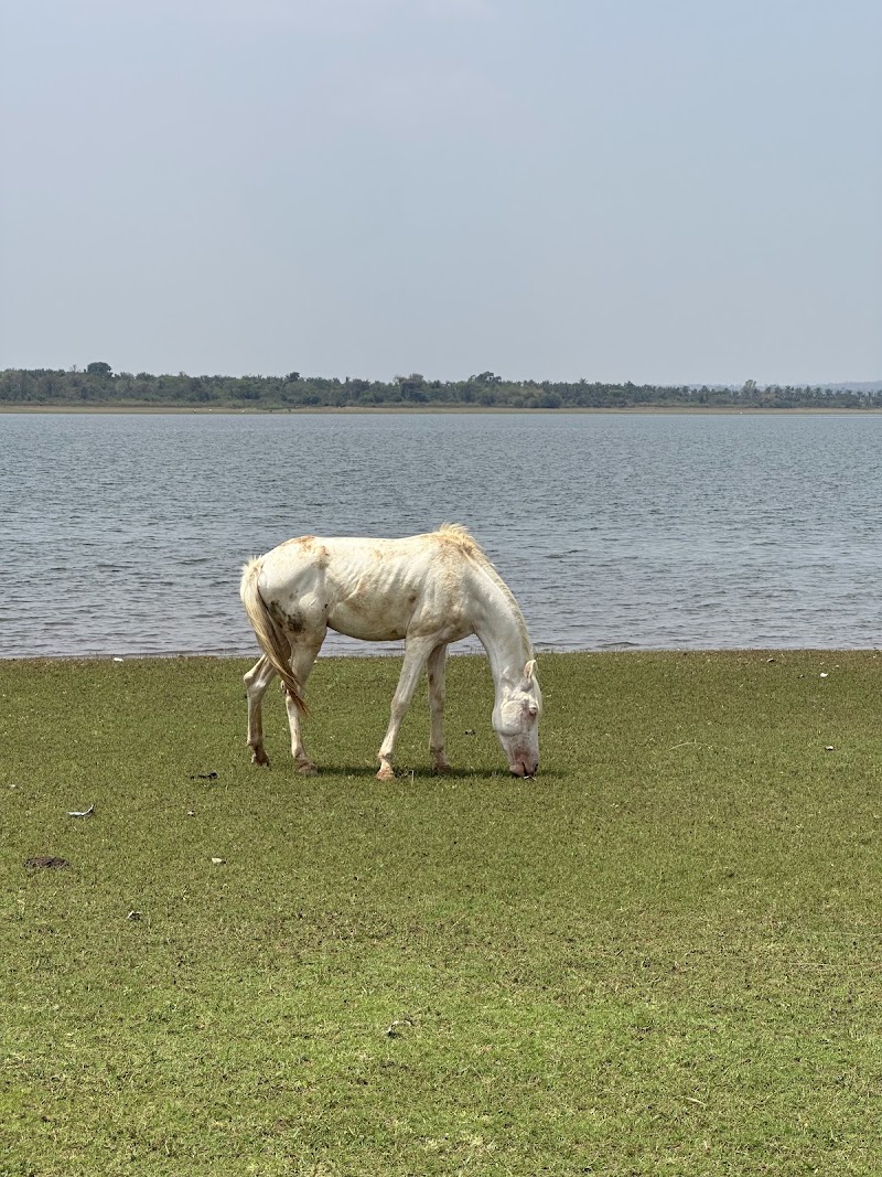 Kabini Reservoir - Kabini Reservoir, Sondipura, Karnataka 571116, India