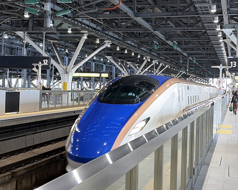 TOYAMA STATION - TOYAMA STATION, 1-225 Meirinchō, Toyama, 930-0001, Japan