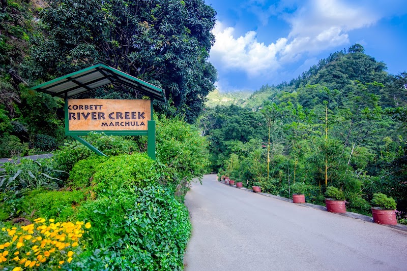 Corbett River Creek - Luxury Resorts In Jim Corbett - Corbett River Creek - Luxury Resorts In Jim Corbett, Plot No 4158, Jim Corbett National Park, NH 121, Village jhadgaon, Tehsil Sult, Dist Almorah, Marchula, Mohan Range, Uttarakhand 263646, India