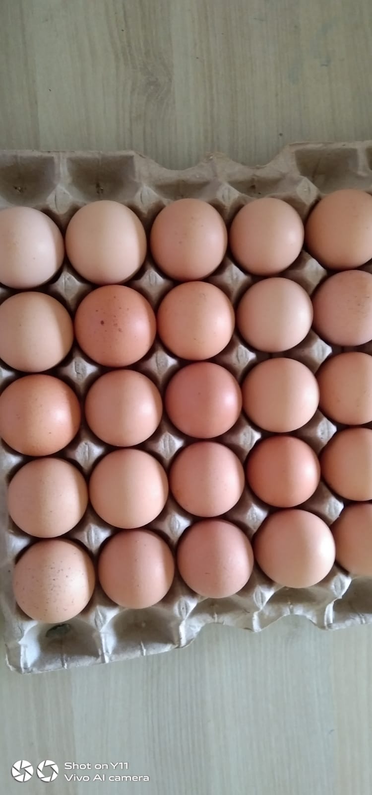 Kukdu ku poultry services pvt Ltd - Kukdu ku poultry services pvt Ltd, Sirsa gate chowk Raipur road Bhilai-3 Dist, Bajrang para, Charoda, Chhattisgarh 490021, India