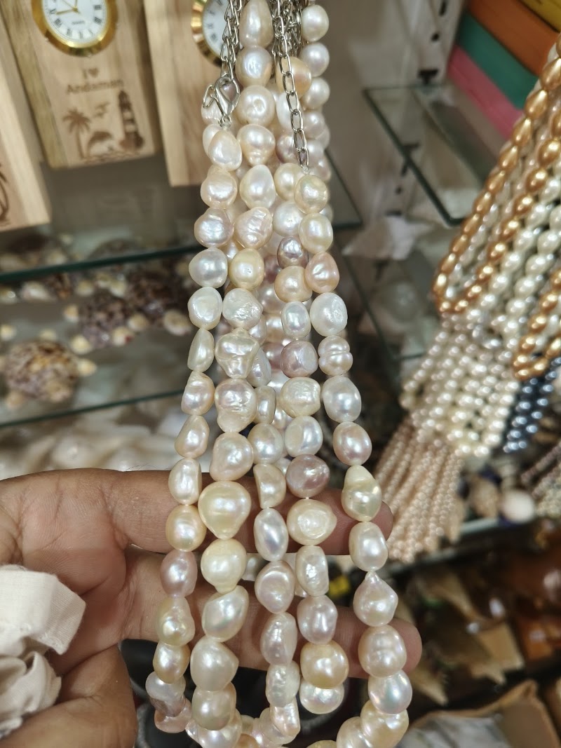 Aachal Sea Shell Emporium - Aachal Sea Shell Emporium, middle point, opp. BJP bhawan Iect building, Aberdeen Bazar, Aberdeen, Sri Vijaya Puram, Andaman and Nicobar Islands 744101, India