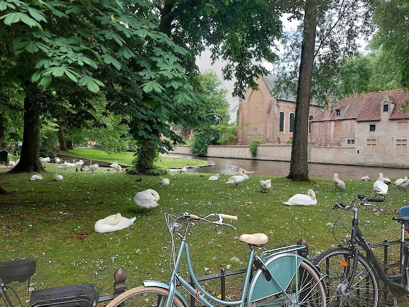 Minnewater - Minnewater, 8000 Brugge, Belgium