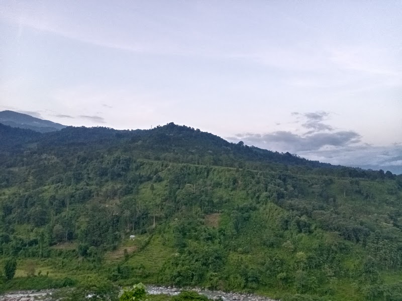 Dooars - Dooars, dhupjhora, batabari, jalpaiguri dooars, RQJV+3MR, Batabari, West Bengal 735206, India