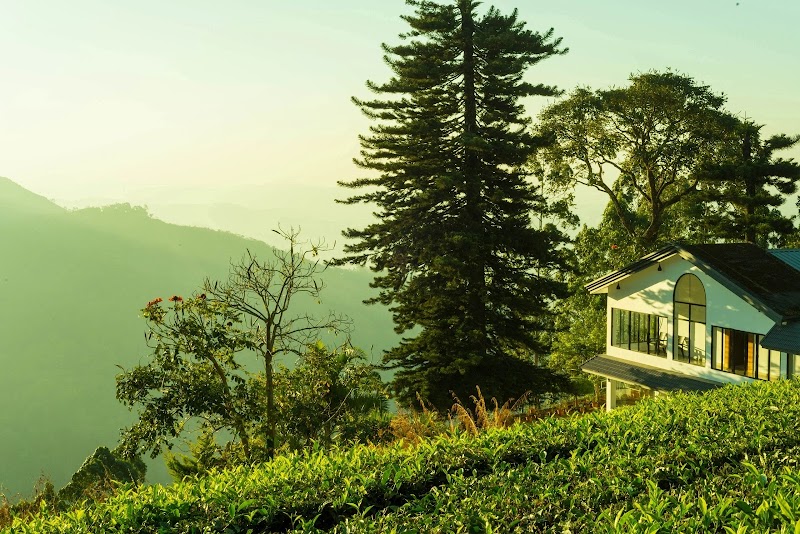 Mount Valley Resorts - Mount Valley Resorts near Pallivasal Tea Factory, PO, Pallivasal, Munnar, Kerala 685565, India