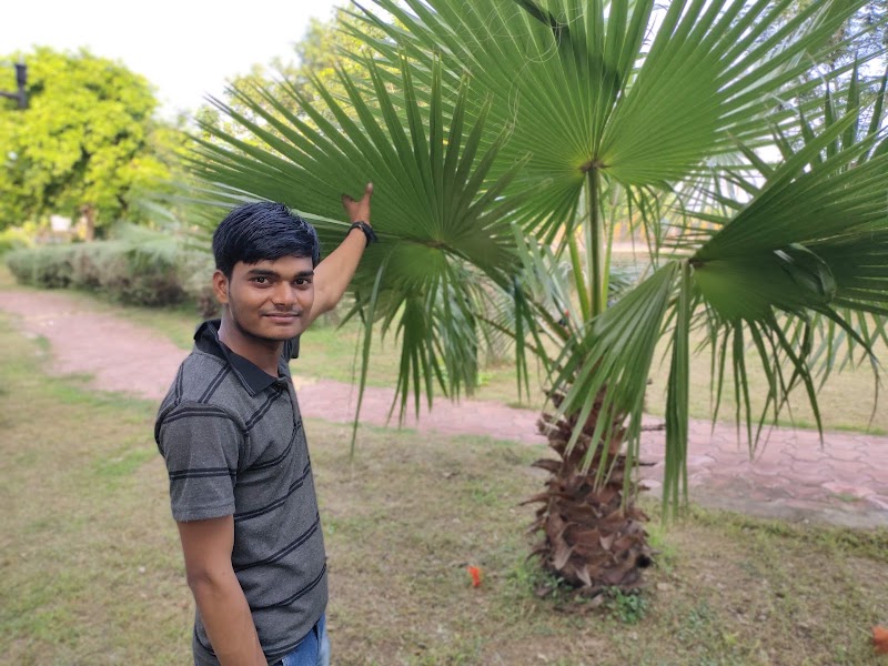 Bal Udyan Garden - Bal Udyan Garden, 683J+94F, Nehru Nagar, Bhilai, Chhattisgarh 490020, India