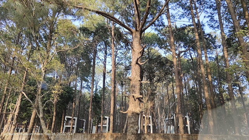 FOREST CAFETERIA and RESTAURANT - FOREST CAFETERIA and RESTAURANT, F7GF+GR, Netarhat, Jharkhand 835218, India