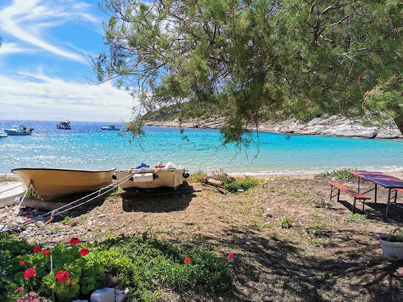 Ilirio's Hvar Tours - Ilirio's Hvar Tours Poljana Grgura Ninskog 9, 21000, Split, Croatia