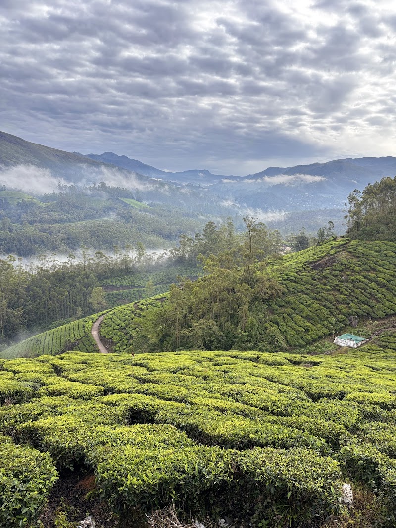 Sunrise view point - Sunrise view point 33HP+MHF, Munnar - Kumily Hwy, Kannan Devan Hills, Keralam 685616, India