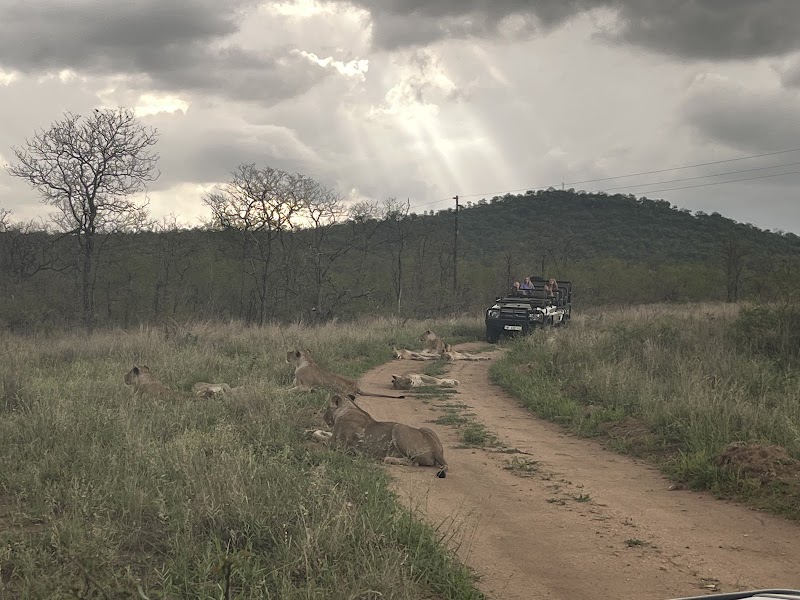 Balule Nature Reserve - Balule Nature Reserve, PWG2+53, 1380, South Africa