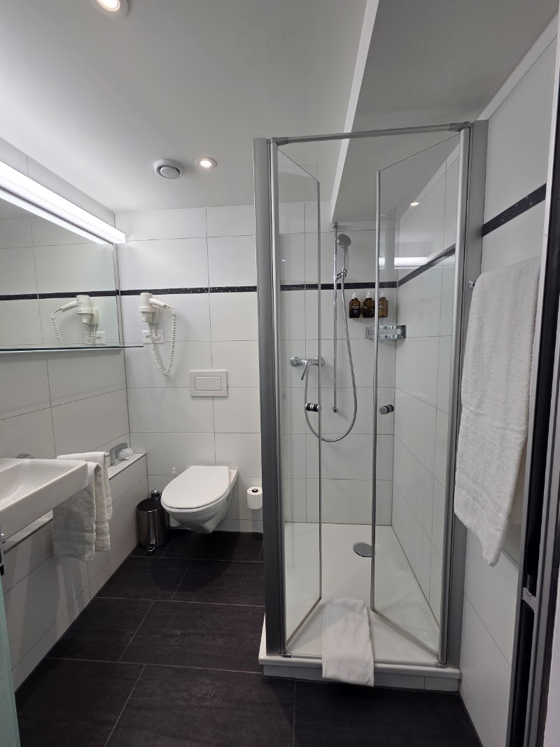 Hotel Luzernerhof - Hotel Luzernerhof Alpenstrasse 3, 6004 Luzern, Switzerland